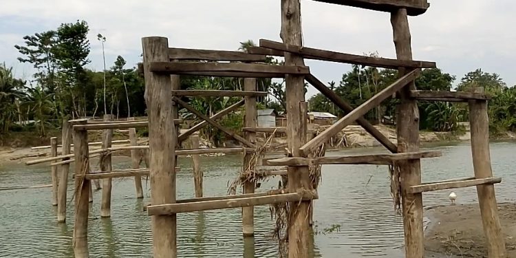 Photo from Yeasin Ali , Kokila _20181030-115434