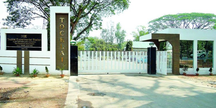Tocklai-Tea-Research-Association-TRA