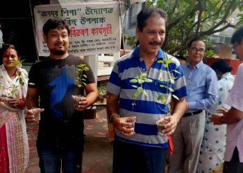 Tulsi Puli