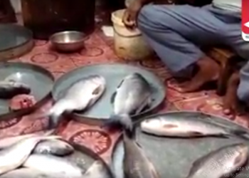fish replaces mutton in guwahati