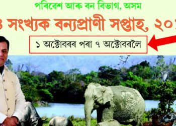 Wildlife Week