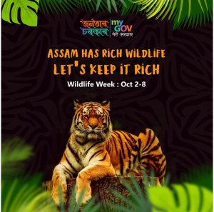 Wildlife Week_Assam
