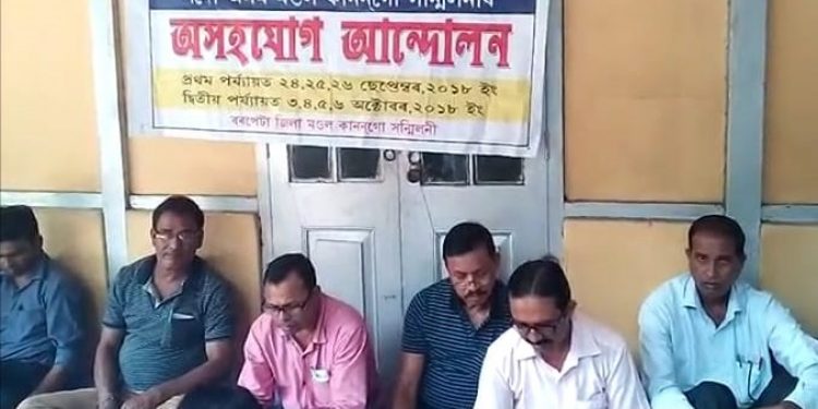 barpeta pulendra Photo