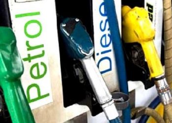 Lockdown: No fuel for those not wearing masks in Assam's Biswanath
