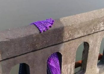 photo from Yeasin Ali, Kokila _20181022-052225