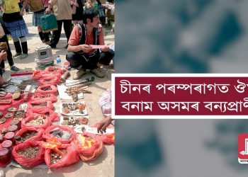 চীনৰ পৰম্পৰাগত ঔষধ বনাম অসমৰ বন্যপ্ৰাণী