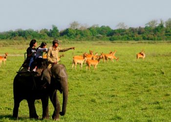 Kaziranga national park