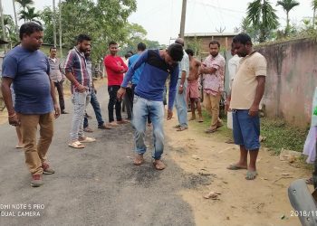 Road Krishnai