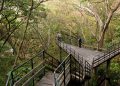 ecotourism-in-India-1024x683