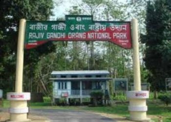 orang-national-park