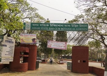 সুদূৰ বিৰচাৰ পৰা অসম ৰাজ্যিক চিৰিয়াখানালৈ অনা হৈছে উট পখী আৰু লাফিং হায়না