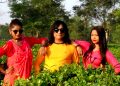 mr rajkumar assam