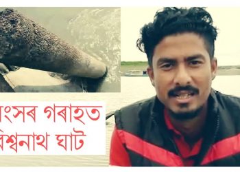 ৰাজ্য চৰকাৰৰ অৱহেলাৰ ফলত ধ্বংসৰ গৰাহত পৰ্যটনস্থলী বিশ্বনাথ ঘাট