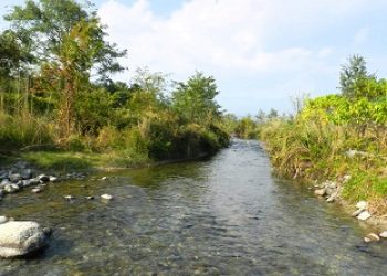 Bhairabkunda Reserve Forest