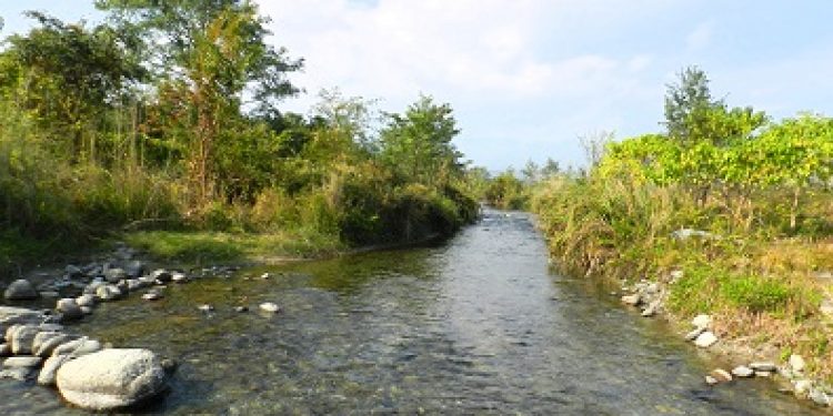 Bhairabkunda Reserve Forest