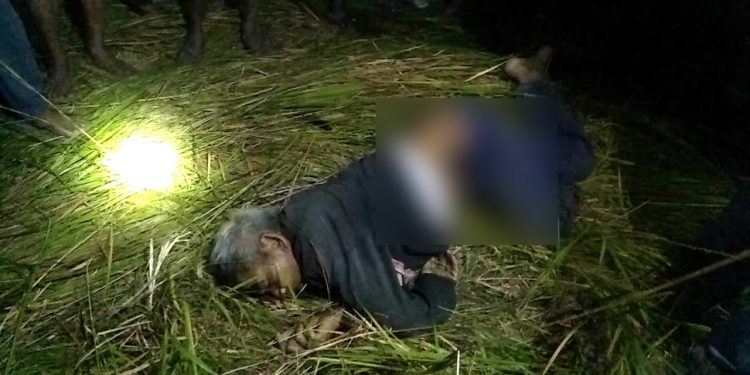 Sadiya elephant attack