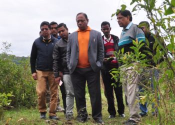 Kaziranga