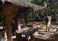 IMG-20181221-WA0004