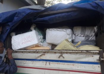 Illegal Timber