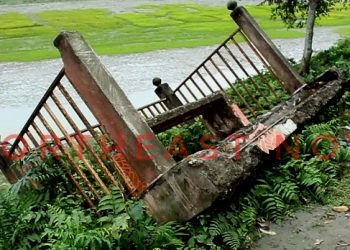 Biswanath Ghat
