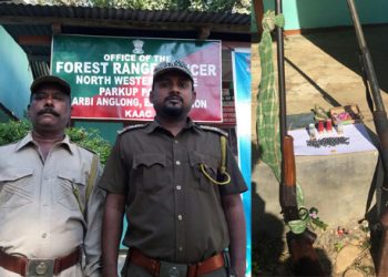 Forest guards