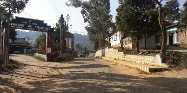 Karbi Anglong, Dima Hasao Bandh