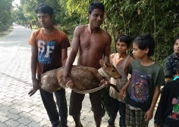 a Barking Deer in Jugunidhari Village