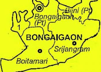 Anchalik Panchayat in Srijangram