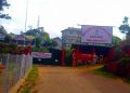 haflong3