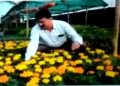 nagaon flower cultivator.docx photo