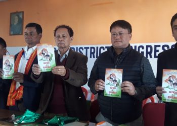 Dima Hasao Congress