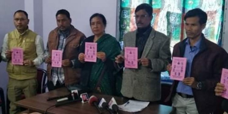 Dima Hasao BJP Manifesto