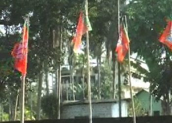 BJP-744x430
