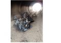 IMG-20190126-WA0024