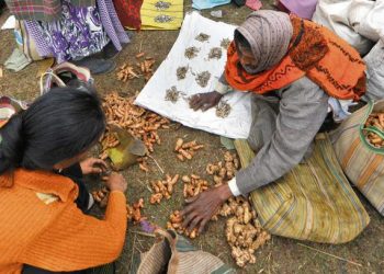 ১৭ জানুৱাৰিৰ পৰা তিনিদিনীয়া কাৰ্যসূচীৰে আৰম্ভ হ’ব জোনবিল মেলা