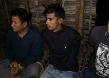 Poachers