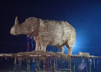 Rhino Bhelaghar