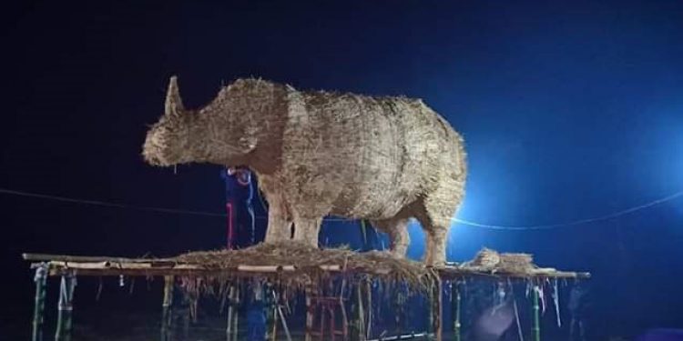 Rhino Bhelaghar