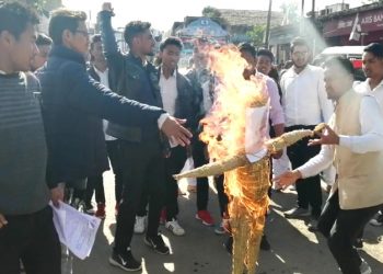 PM Modi effigy burnt in Assam's Margherita