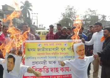 Sonowal, Modi Effigy