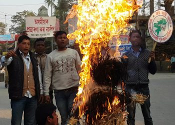মাজুলীত কেইবাটাও দল-সংগঠনে জ্বলালে হিমন্তৰ প্ৰতিকৃতি