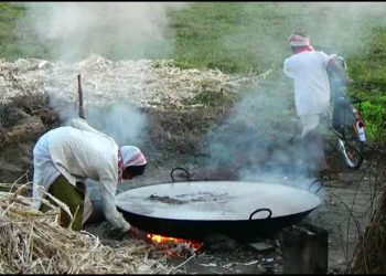 Sugarcane