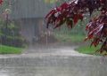 rain-750x375