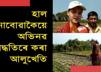 বিদেশী গৱেষকে চালেহি অভিনৱ পদ্ধতিৰে হাল নোবোৱাকৈ অসমৰ খেতিয়কে কৰা আলু খেতি
