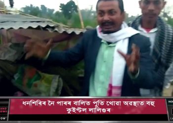 ধনশিৰিৰ বালিত পুতি থোৱা অৱস্থাত কুইণ্টলে কুইণ্টলে লালিগুৰ উদ্ধাৰ