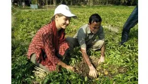 Foreigner at Potato field