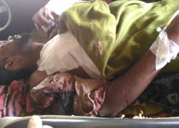 কাজিৰঙা ৰাষ্ট্ৰীয় উদ্যানৰ কহঁৰাত গঁড়ৰ আক্ৰমণত এজন আহত
