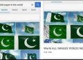 Pakistan Flag as best toilet paper_2