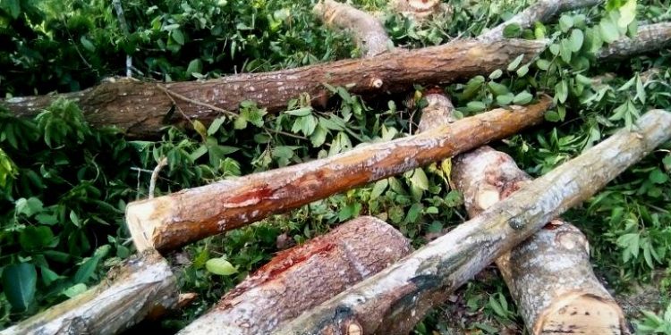 প্ৰতিনিধিত্বমূলক ছবি