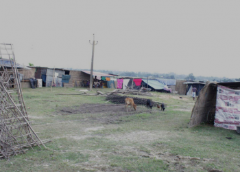 Banngladeshi village image